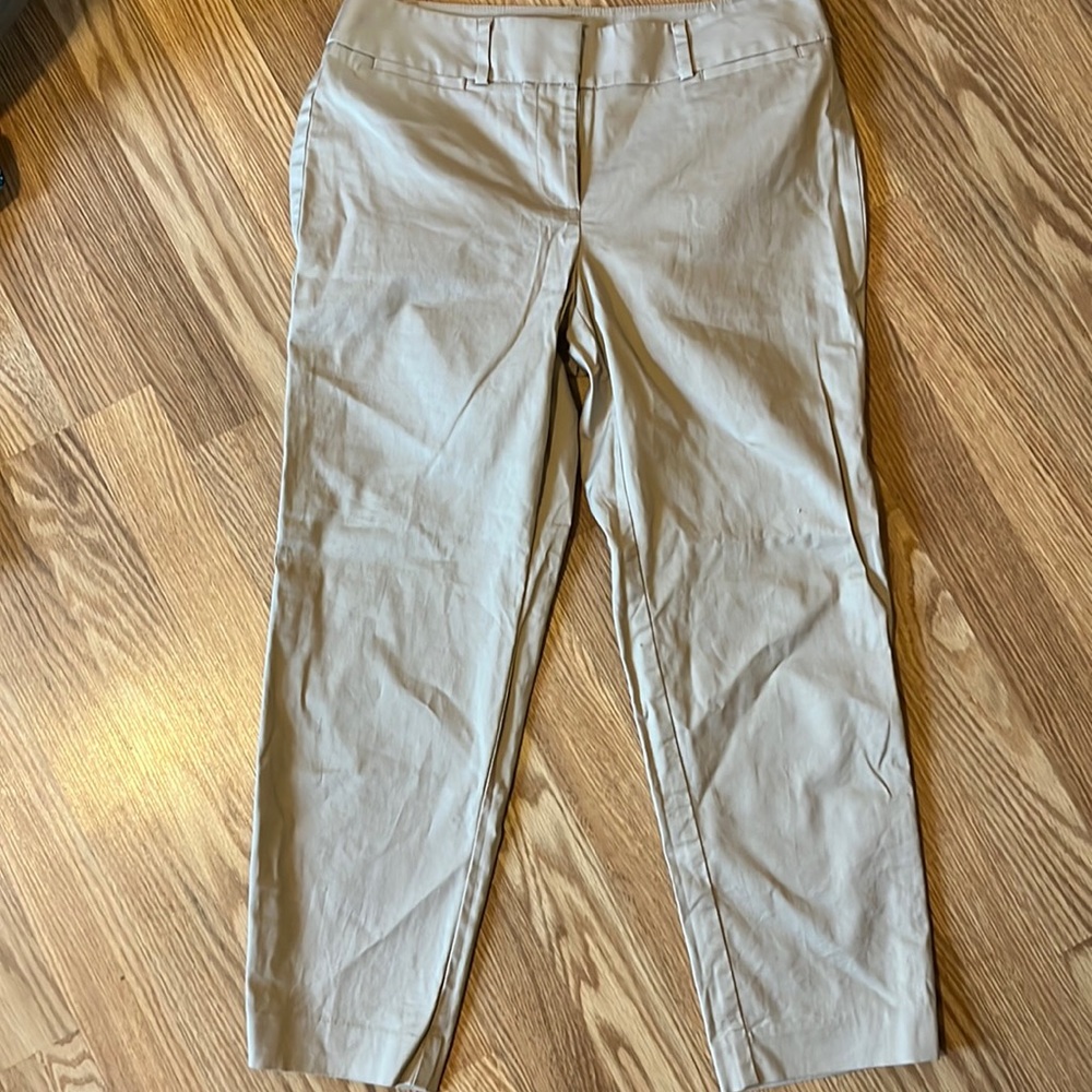 Ann Taylor Capri